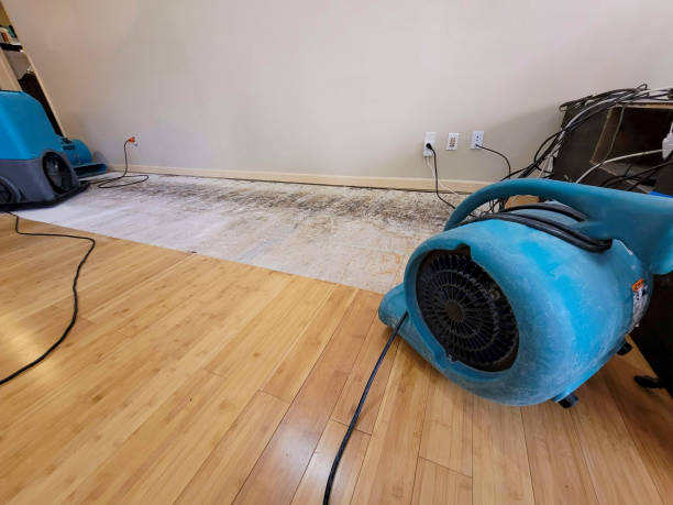 Professional Water Extraction technician working in Quaker Hill, CT